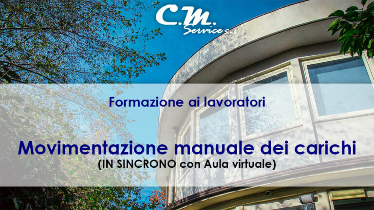 Movimentazione manuale dei carichi